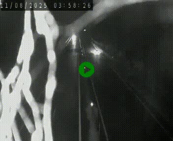 <h2>Caméra autoroute A75 à hauteur de Coudes, en direction de Clermont-Ferrand</h2>