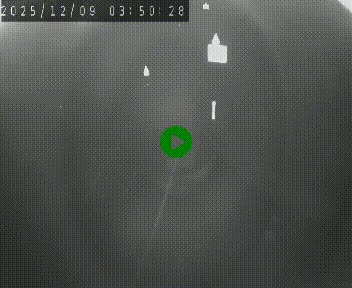 <h2>Caméra autoroute A75 à hauteur du col de la Fageole en direction de Clermont-Ferrand</h2>