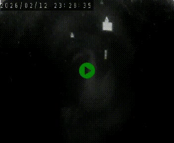 <h2>Caméra autoroute A75 à hauteur du col de la Fageole en direction de Clermont-Ferrand</h2>