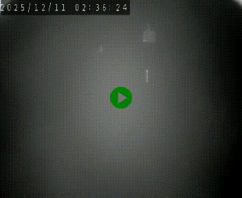 <h2>Caméra autoroute A75 à hauteur du col de la Fageole en direction de Clermont-Ferrand</h2>