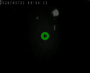 <h2>Caméra autoroute A75 à hauteur du col de la Fageole en direction de Clermont-Ferrand</h2>