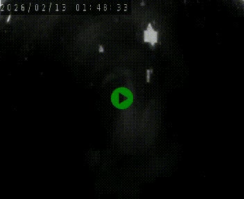 <h2>Caméra autoroute A75 à hauteur du col de la Fageole en direction de Clermont-Ferrand</h2>