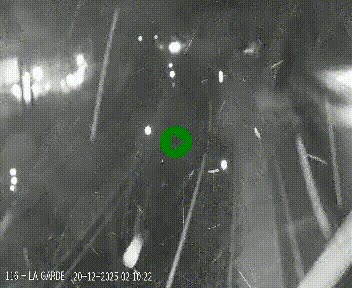 <h2>Caméra autoroute A75 à hauteur du col du rocher blanc en direction de Montpellier</h2>