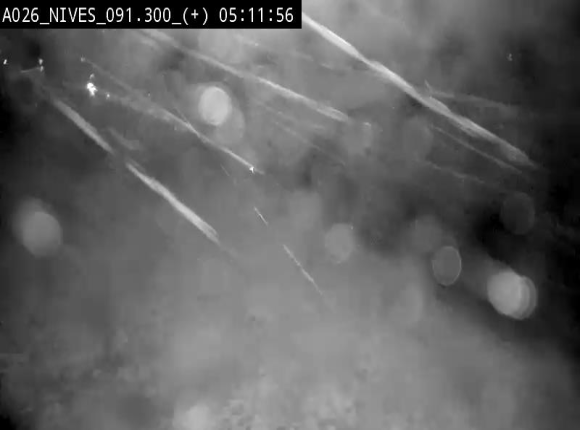 <h2>Webcam autoroute A26/E25 à hauteur de Vaux-sur-Sûre (Nives), à la jonction avec la N848 en direction de Luxembourg - BK 91,3</h2>