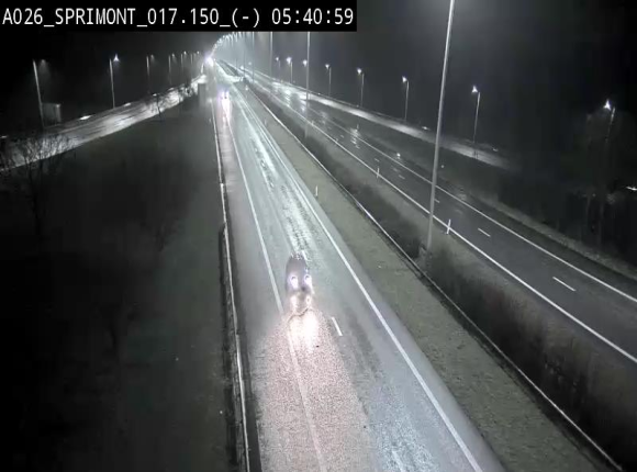 <h2>Webcam E25 (A26) à hauteur de Sprimont en direction de Liège et en provenance de Bastogne</h2>