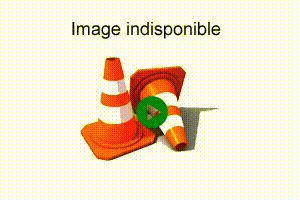 Webcam boulevard périphérique de Lyon (D383) à hauteur de la porte des Essarts à Bron, avant la jonction avec l'avenue Roosevelt et la sortie 11