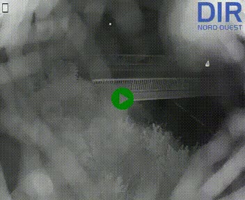 <h2>Webcam sur A84 à hauteur de Pont-Farcy, au niveau du pont autoroutier sur la Vire, au sud de Saint-Lô</h2>