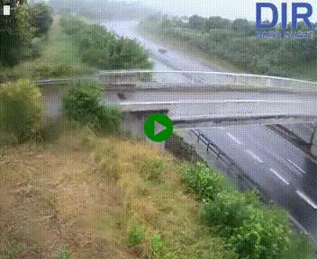[title]