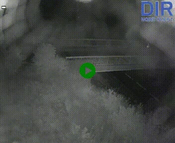 Webcam sur A84 à hauteur de Pont-Farcy, au niveau du pont autoroutier sur la Vire, au sud de Saint-Lô