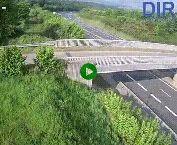 [title]