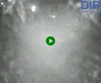 <h2>Webcam sur A84 à hauteur de Pont-Farcy, au niveau du pont autoroutier sur la Vire, au sud de Saint-Lô</h2>