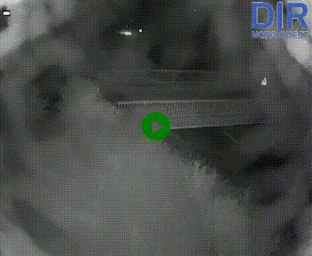 <h2>Webcam sur A84 à hauteur de Pont-Farcy, au niveau du pont autoroutier sur la Vire, au sud de Saint-Lô</h2>