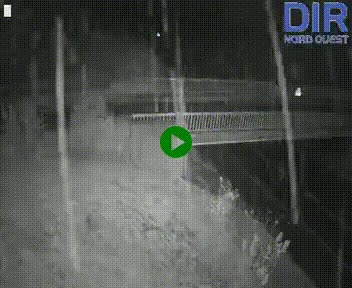 <h2>Webcam sur A84 à hauteur de Pont-Farcy, au niveau du pont autoroutier sur la Vire, au sud de Saint-Lô</h2>