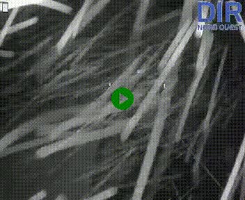 Webcam sur A84 à hauteur de l'échangeur de Poilley avec la N175, au sud d'Avranches