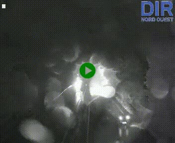 <h2>Webcam sur le périphérique de Caen (N814) à l'est de la ville, à Mondeville hauteur de la sortie 2, Presqu'île-Rives de l'Orne, au bout de l'autoroute A13</h2>