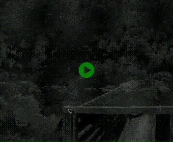 [title]