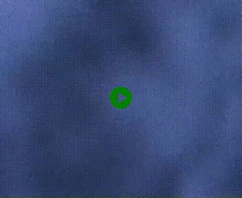 <h2>Webcam Porté-Puymorens sur N320, en direction de Pas de la Casa (Andorre)</h2>