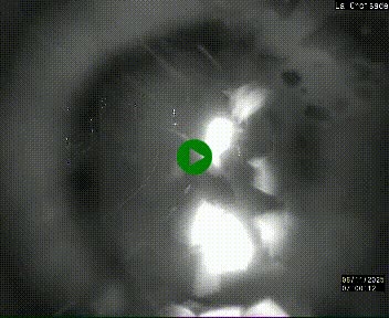 <h2>Webcam au carrefour de la croisade, à la jonction entre la N22 et la N320, avant le poste de douane franco-andorrane. Webcam à 1790 mètres d'altitude</h2>