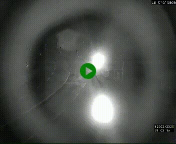 <h2>Webcam au carrefour de la croisade, à la jonction entre la N22 et la N320, avant le poste de douane franco-andorrane. Webcam à 1790 mètres d'altitude</h2>