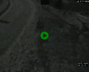 <h2>Webcam au carrefour de la croisade, à la jonction entre la N22 et la N320, avant le poste de douane franco-andorrane. Webcam à 1790 mètres d'altitude</h2>