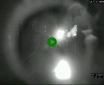 <h2>Webcam au carrefour de la croisade, à la jonction entre la N22 et la N320, avant le poste de douane franco-andorrane. Webcam à 1790 mètres d'altitude</h2>