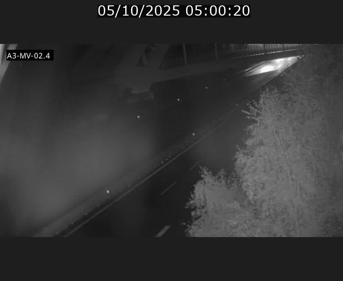 <h2>Webcam autoroute de la France (A3) au Luxembourg à Fentange, à proximité de la Croix de Gasperich. Vue orientée vers la Cloche d'Or</h2>
