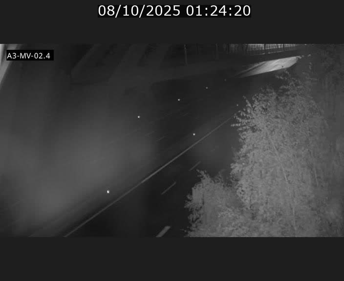 <h2>Webcam autoroute de la France (A3) au Luxembourg à Fentange, à proximité de la Croix de Gasperich. Vue orientée vers la Cloche d'Or</h2>