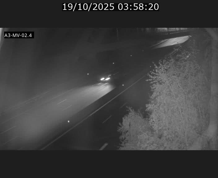 <h2>Webcam autoroute de la France (A3) au Luxembourg à Fentange, à proximité de la Croix de Gasperich. Vue orientée vers la Cloche d'Or</h2>