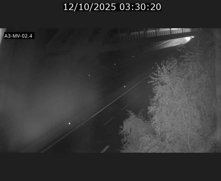<h2>Webcam autoroute de la France (A3) au Luxembourg à Fentange, à proximité de la Croix de Gasperich. Vue orientée vers la Cloche d'Or</h2>