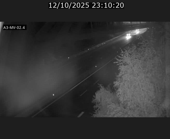<h2>Webcam autoroute de la France (A3) au Luxembourg à Fentange, à proximité de la Croix de Gasperich. Vue orientée vers la Cloche d'Or</h2>