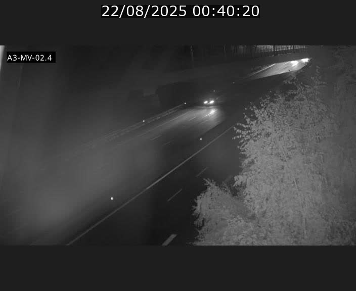 <h2>Webcam autoroute de la France (A3) au Luxembourg à Fentange, à proximité de la Croix de Gasperich. Vue orientée vers la Cloche d'Or</h2>