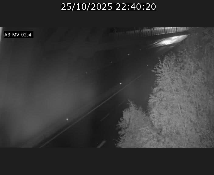 <h2>Webcam autoroute de la France (A3) au Luxembourg à Fentange, à proximité de la Croix de Gasperich. Vue orientée vers la Cloche d'Or</h2>