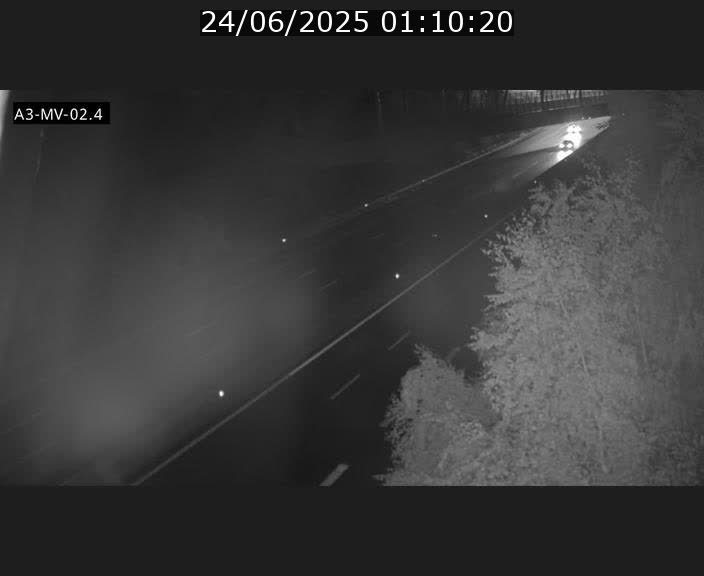 <h2>Webcam autoroute de la France (A3) au Luxembourg à Fentange, à proximité de la Croix de Gasperich. Vue orientée vers la Cloche d'Or</h2>