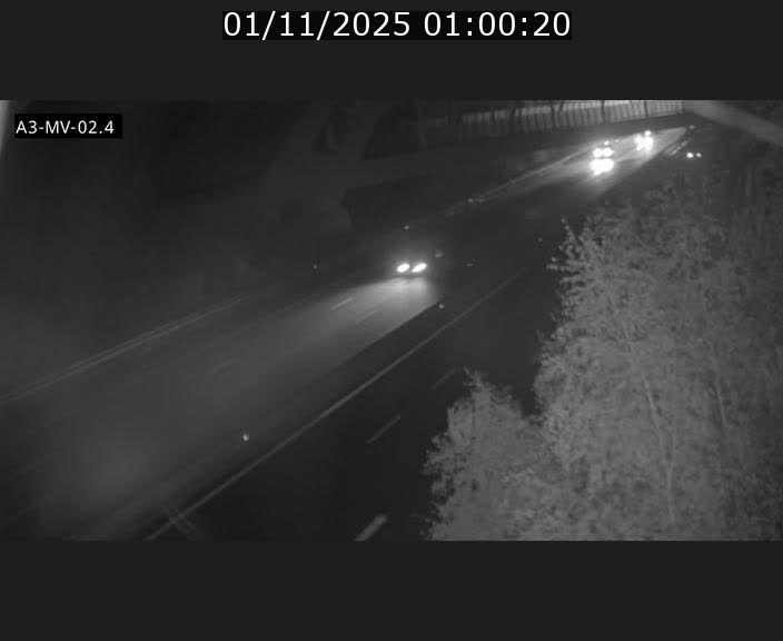 <h2>Webcam autoroute de la France (A3) au Luxembourg à Fentange, à proximité de la Croix de Gasperich. Vue orientée vers la Cloche d'Or</h2>