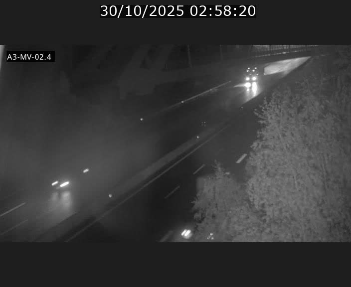 <h2>Webcam autoroute de la France (A3) au Luxembourg à Fentange, à proximité de la Croix de Gasperich. Vue orientée vers la Cloche d'Or</h2>