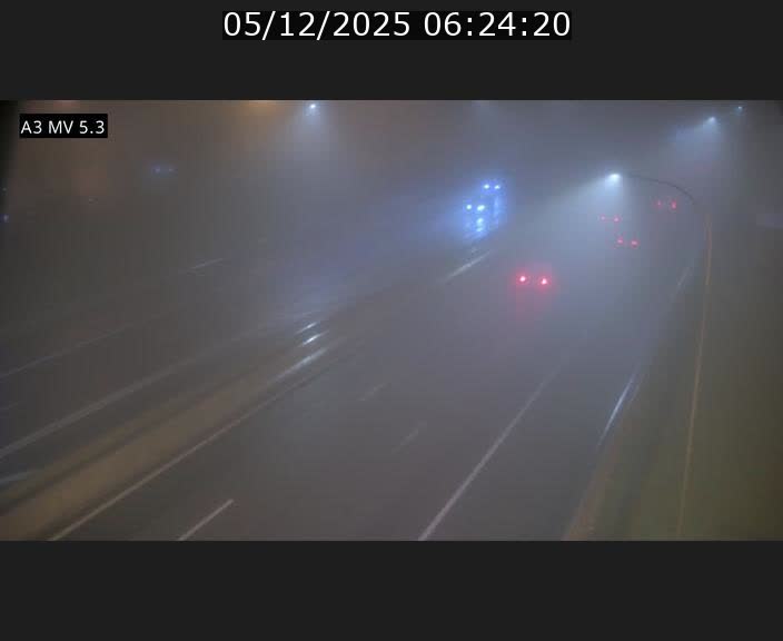 <h2>Webcam à l'Aire de Berchem au Luxembourg sur l'A3. Vue orientée vers la France</h2>