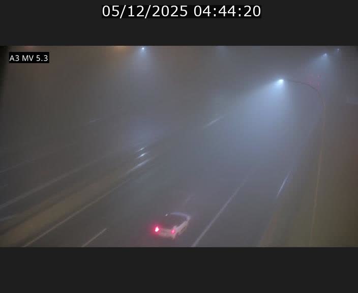 <h2>Webcam à l'Aire de Berchem au Luxembourg sur l'A3. Vue orientée vers la France</h2>