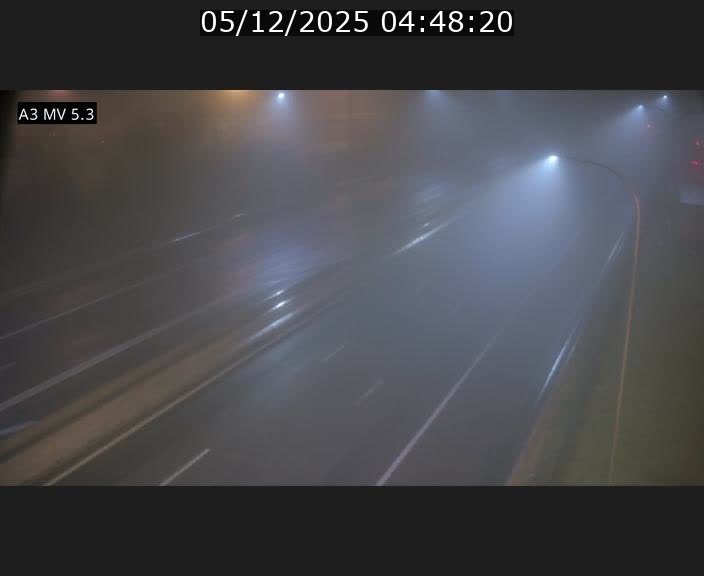 <h2>Webcam à l'Aire de Berchem au Luxembourg sur l'A3. Vue orientée vers la France</h2>