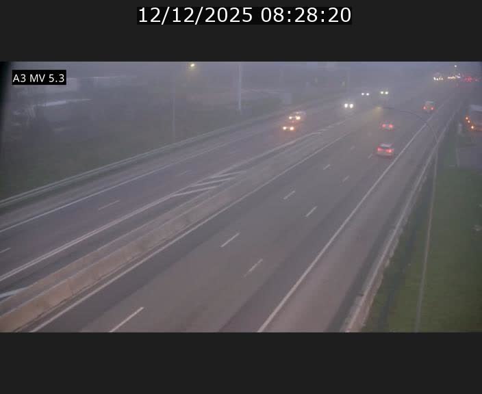 <h2>Webcam à l'Aire de Berchem au Luxembourg sur l'A3. Vue orientée vers la France</h2>
