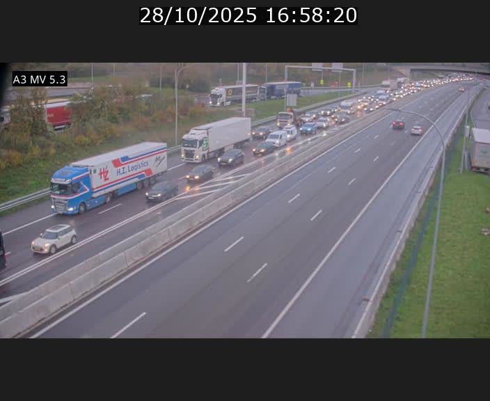 <h2>Webcam à l'Aire de Berchem au Luxembourg sur l'A3. Vue orientée vers la France</h2>