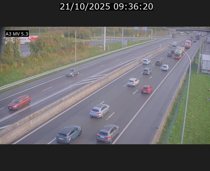 <h2>Webcam à l'Aire de Berchem au Luxembourg sur l'A3. Vue orientée vers la France</h2>