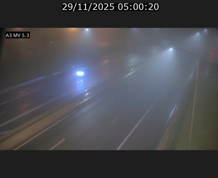 <h2>Webcam à l'Aire de Berchem au Luxembourg sur l'A3. Vue orientée vers la France</h2>