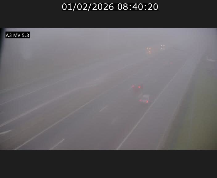 Webcam à l'Aire de Berchem au Luxembourg sur l'A3. Vue orientée vers la France