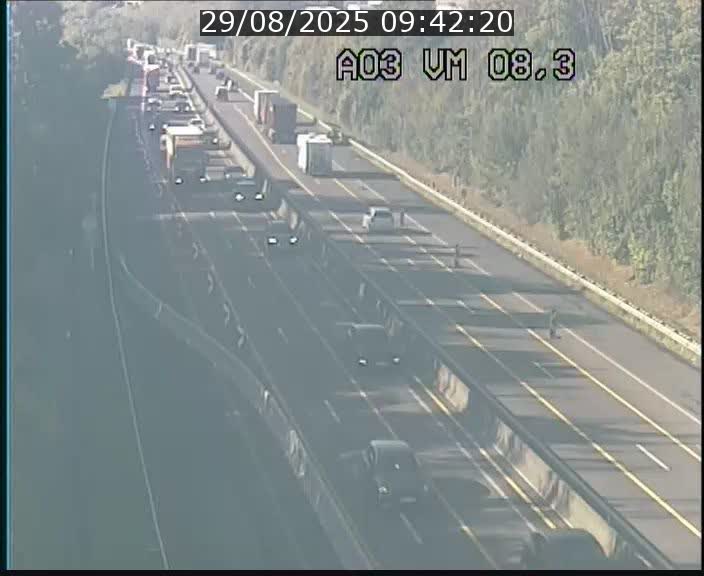 <h2>Traffic live webcam Luxembourg Bettembourg - A3 - BK 8.3 - direction France</h2>