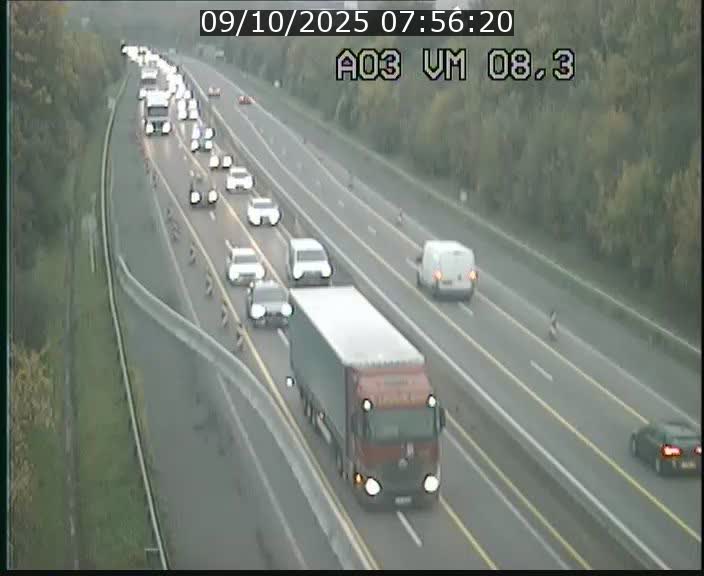 <h2>Traffic live webcam Luxembourg Bettembourg - A3 - BK 8.3 - direction France</h2>