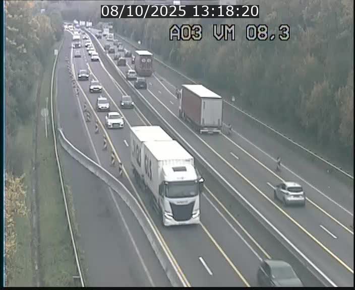<h2>Traffic live webcam Luxembourg Bettembourg - A3 - BK 8.3 - direction France</h2>