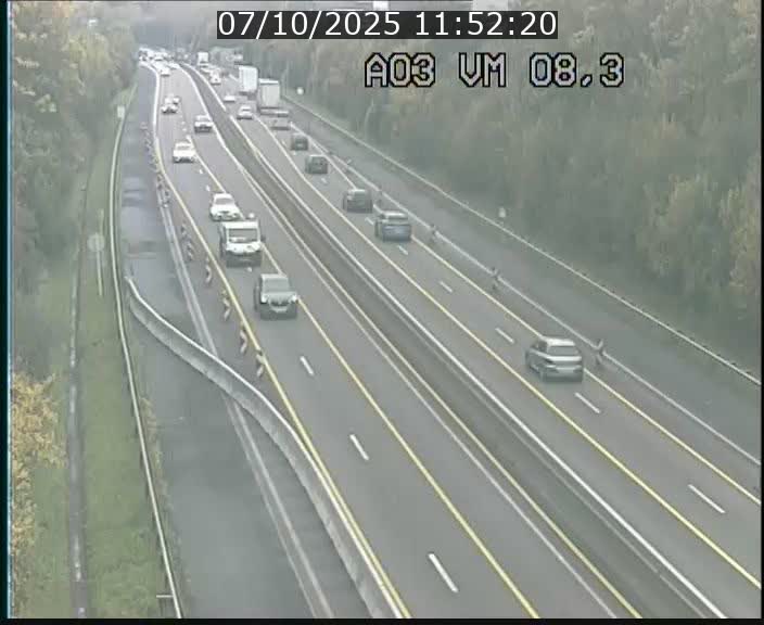 <h2>Traffic live webcam Luxembourg Bettembourg - A3 - BK 8.3 - direction France</h2>