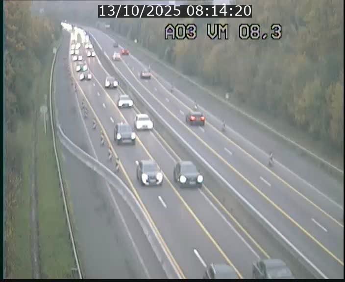 <h2>Traffic live webcam Luxembourg Bettembourg - A3 - BK 8.3 - direction France</h2>