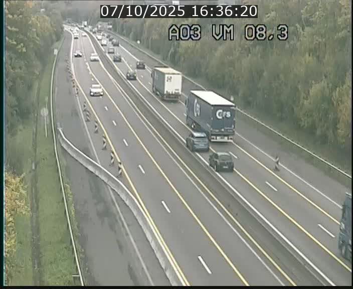 <h2>Traffic live webcam Luxembourg Bettembourg - A3 - BK 8.3 - direction France</h2>