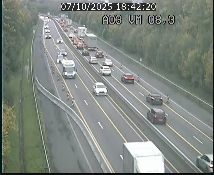 <h2>Traffic live webcam Luxembourg Bettembourg - A3 - BK 8.3 - direction France</h2>